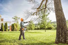 Best Commercial Tree Services  in Greensboro, AL